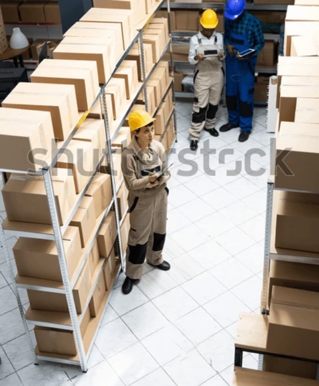Logistics & Shipping